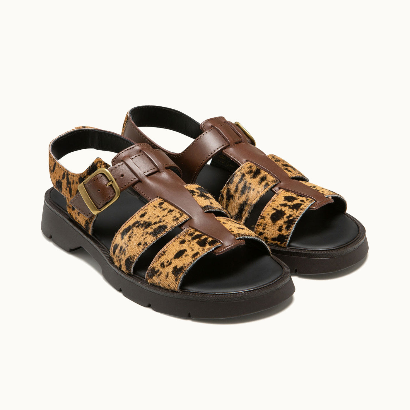 BROWN+BLACK HC BALLAST